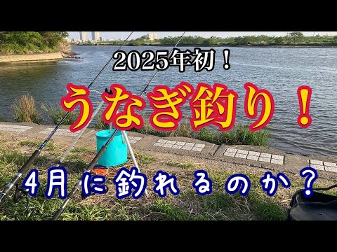 【25年4月】今季初！近所の川でウナギ釣り！