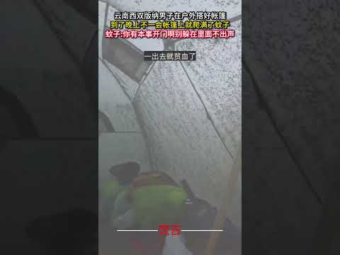 雲南西雙版納でのアウトドア体験：夜のテントに蚊が殺到！自然の驚きと発見 サムネイル