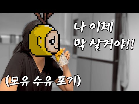 모유수유 접고 폭주하는 뚜부인의 소감😭 / 출산휴가 또 쓰는 개발자 남편🙏