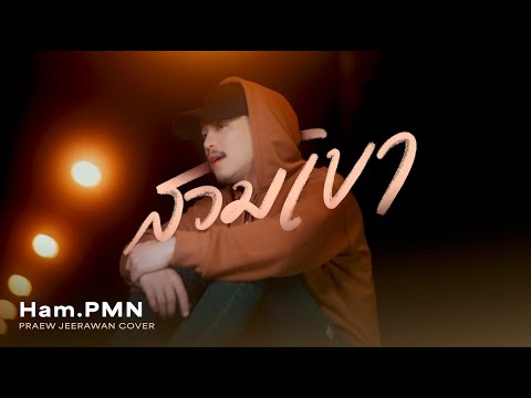 สวมเขา-แพรวจีรวรรณ[Cover