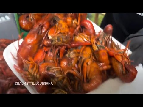 Despite Louisiana’s crawfish shortage, demand is still high at festival