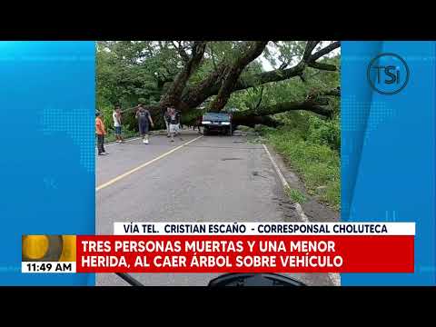 Tres personas fallecen en vehículo tras caída de árbol en Choluteca