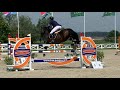 Show jumping horse RESERVED Colt Taloubet Z x Canadian River x Landgraf I