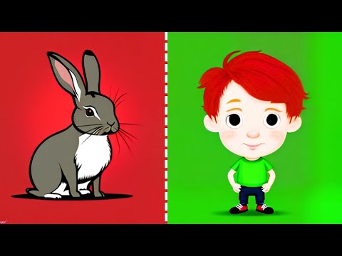 Tommy and the Rabbit | Bedtime Story For Kids
