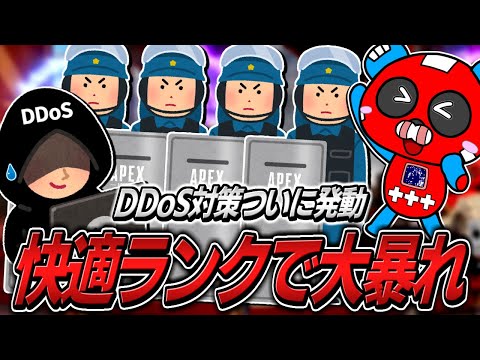 DDoS対策発動!!久しぶりの快適なランクで大暴れするCHEEKY【APEX】