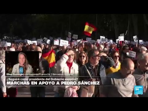Informe desde Barcelona: seguidores de Pedro Sánchez piden que no renuncie • FRANCE 24 Español