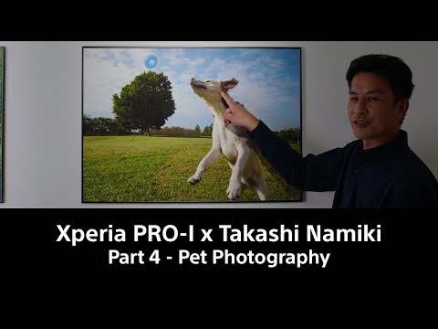 Xperia PRO-I x Takashi Namiki – [Part4] Pet Photography