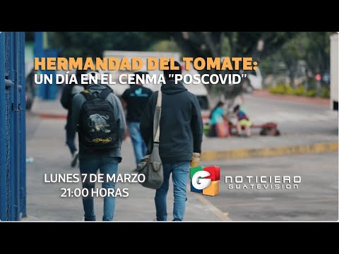 Esta noche en Noticiero Guatevisión | Hermandad del tomate: Un día en el Cenma Poscovid