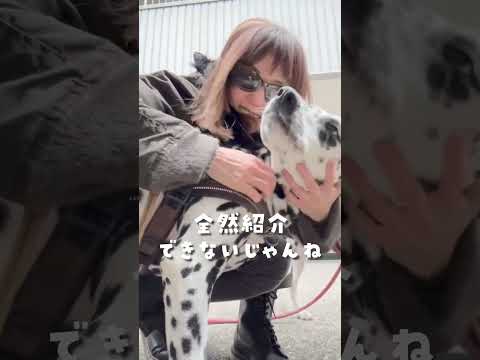 高岡早紀のコーデ紹介｜愛犬とお散歩に行ってきます