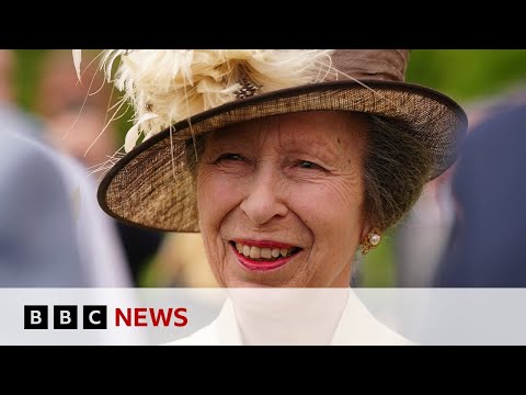 Princess Anne in hospital with minor injuries and concussion after incident at home | BBC News