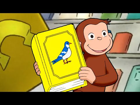 No przeczytajcie tę książkę! | Ciekawski George | Bajki Po Polsku