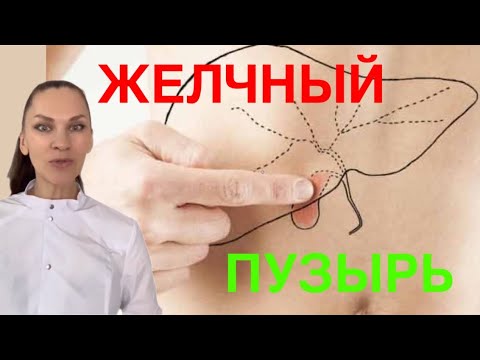 Желчный Пузырь | Застой желчи