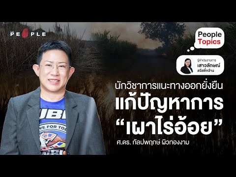 นักวิชาการแนะทางออกยั่งยืนแก