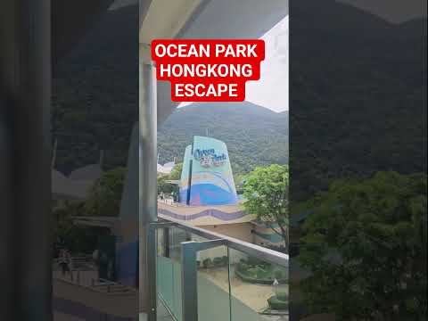 OCEAN PARK HONGKONG ESCAPE  #OCEANPARK #ofwhongkong #BIRTHDAY
