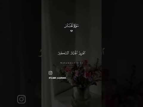 القرآن الكريم ...