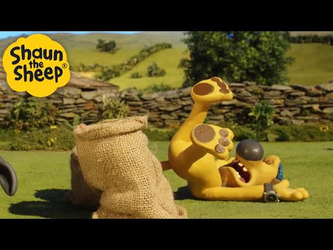 A Bad Fall 🐑 Shaun the Sheep 🐑  - Cartoons for Kids 🐑 Full Episodes Compilation [1 hour]