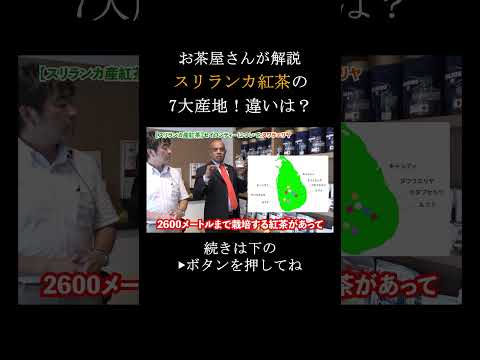 【紅茶の基礎知識】スリランカ紅茶7大産地をご紹介 #セイロンティー #スリランカ #紅茶