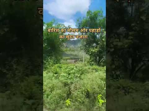 #trendingshorts बारिश बरसने लगी सुन्दर वादि एंजॉय करने वाला लोकल स्टेट #song #music