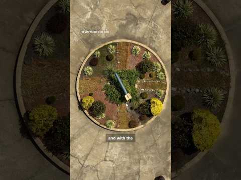 Click to play Video
