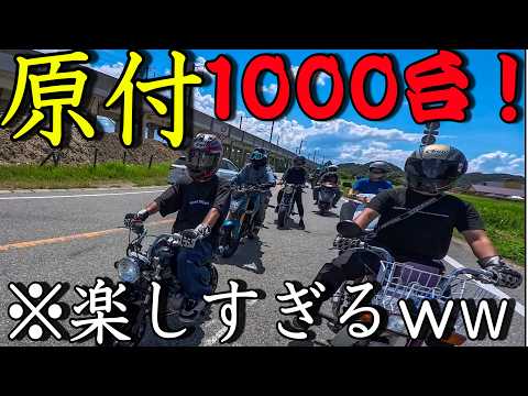 大量の原チャでツーリング!青春の50ccが最高すぎた!!!