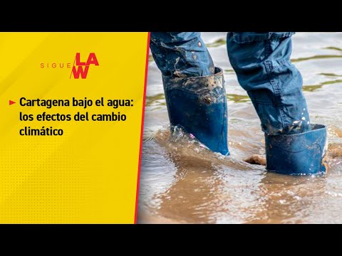 Cartagena bajo el agua: los efectos del cambio climático