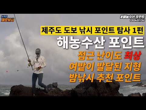 제주도 도보권 낚시포인트 소개 1탄 - 해농수산포인트