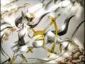 flypheonix6