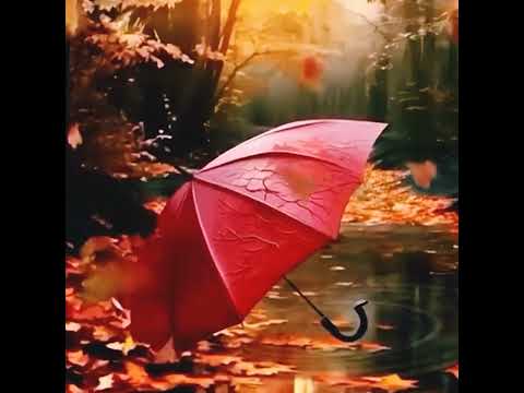 [ #Autumn ] #footage