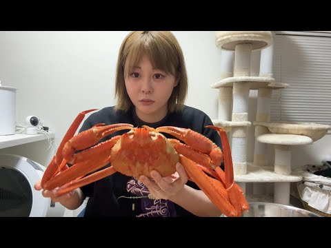 エピソード#3【chatGPT】