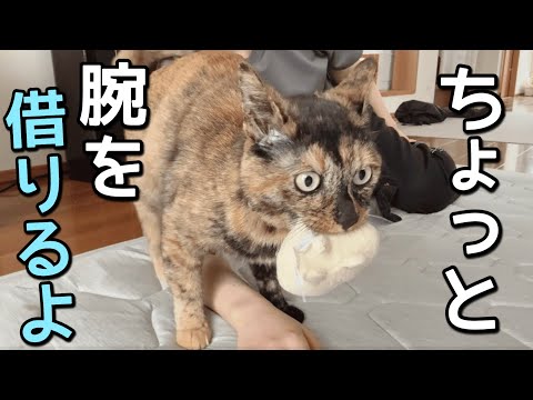 猫が必死に鳴くので近づいたら、とんでもないことになりました…
