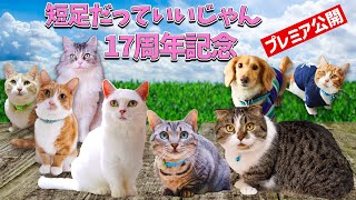 動画サムネイル