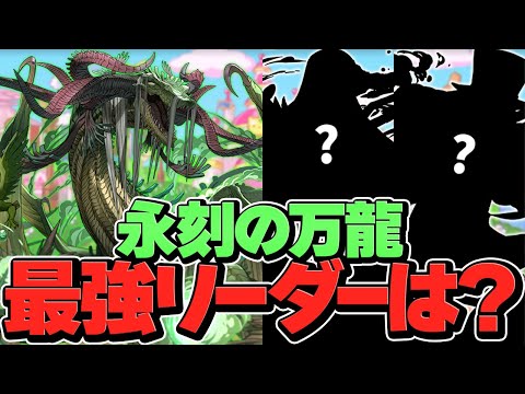 万寿最強リーダーは誰？初見攻略は誰がおすすめ？新最難関ダンジョン予想してみた！【パズドラ】