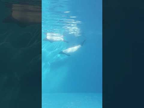 Anywhere with you, into the deep