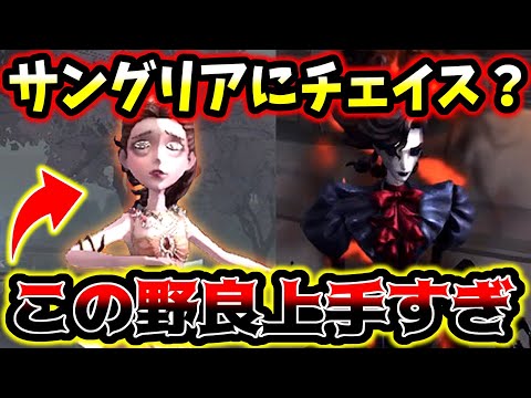 【第五人格】サングリアに単体でチェイスする野良があまりに凄すぎた【identityV】【アイデンティティV】