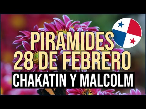 Pirámide Lotería de Panamá Miércoles 28 de Febrero 2024  Pirámide de Chakatin y Malcolm Ramos