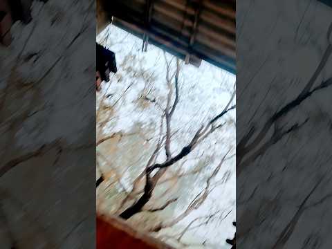 #video रंग तारों के भतार #trending #umadanceofficial #shortvideo #viralvideo #ytshorts #gadgets