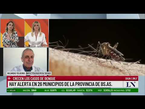 Crecen los casos de dengue: hay alerta en 26 municipios de la provincia de Buenos Aires