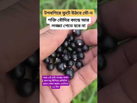 #shortvideo #gardenplants #garden #plantsofindia การตอนมะละกอ โดยไม่ใช้ดิน ไม่ใช้ แกลบ.