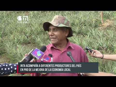 INTA acompaña a productores de Ticuantepe en salida de cosechas - Nicaragua