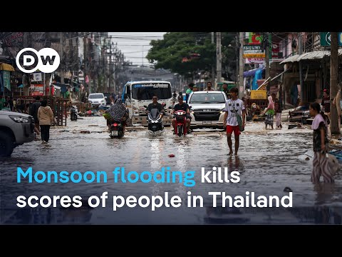 How are hospitals handling the numbers of injured patients? | DW News