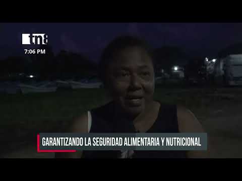 Gobierno de Nicaragua entrega medios de vida a familias costeñas