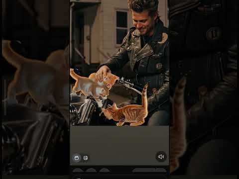 motor rider cats #sale #jakarta #viral #fyp #live #gym #cute #holi #memes #cat #spiderman #sports