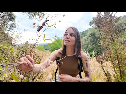 Le monde à genoux – Histoires de fourmis et d'araignées