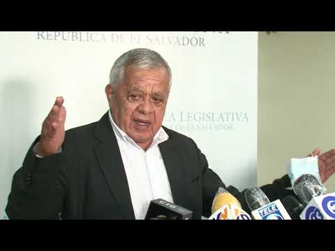 Diputado Mauricio Vargas El Salvador es un Estado Fallido