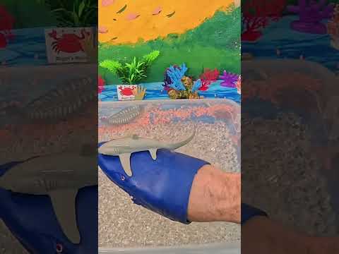 The Thresher Shark | A Deep Ocean Fact