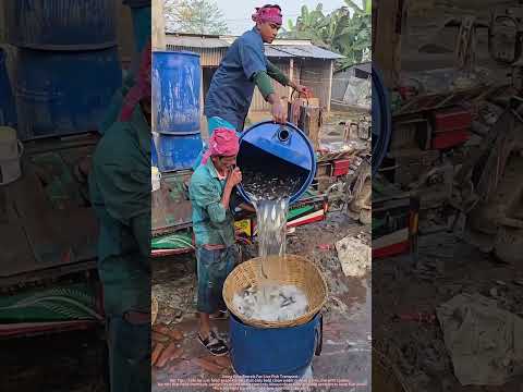 Low-Cost Live Fish Transport Hack With Waste Blue Barrels !
