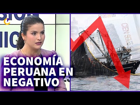 Economía peruana en caída: Estamos en un momento delicado