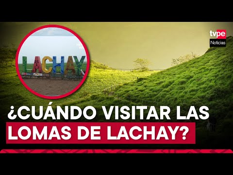Lomas de Lachay: esta es la mejor época para visitar el paraíso limeño