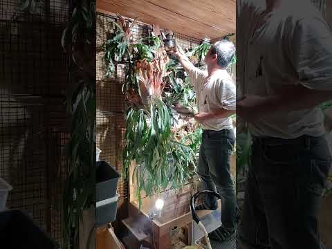 水やり後のパズル