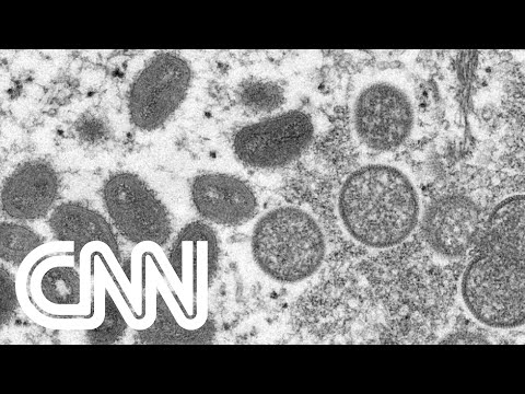 Brasil registra terceiro caso de varíola dos macacos | CNN DOMINGO